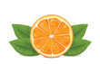 © mr_liss - orange on white background