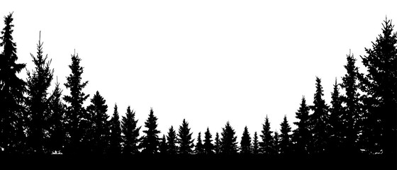 Wall Mural - Forest evergreen, coniferous trees, silhouette vector background