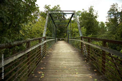  Fototapeta most w dżungli   drewniany-most-w-dzungli