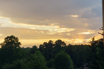 Wall Mural - sunset over the trees