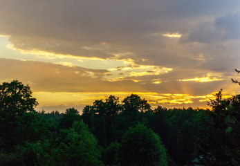 Wall Mural - sunset over the trees