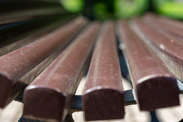 empty bench in summer