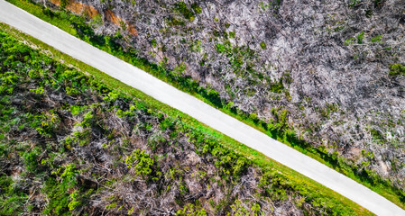 Sticker - Drone view of nature at Sammy's Creek in Sugarloaf Key Miami Florida