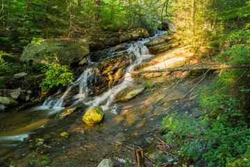 Lost Waterfalls Of Historic Mountain Park, Circa 1883 Abandon Amusement Park Completely Reclaimed By The Forest