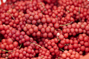 Canvas Print - Schisandra Fruit 