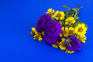 Bouquet of garden flowers on bright background