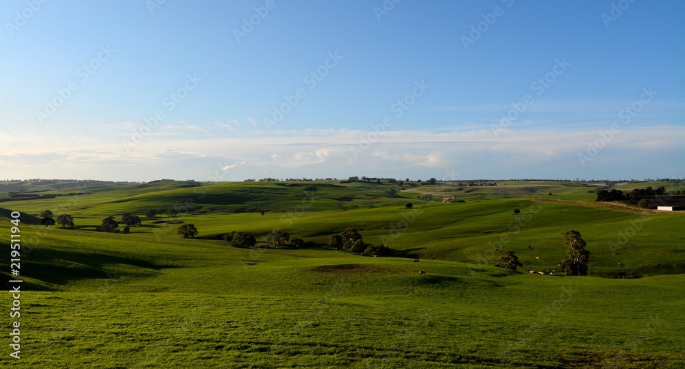 Plissee mit Motiv - Farming spring landscape