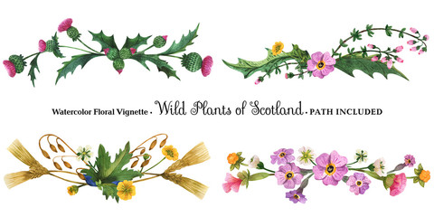 Wall Mural - Vignette from wild plants of Scotland