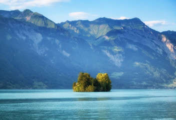 Wall Mural - view on the island on interlaken lake. natural landscape. landscape in the switzerland at the day ti