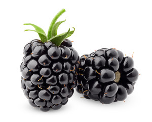 blackberry isolated on white background, clipping path, full depth of field