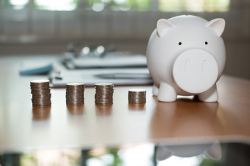 coin & piggy bank. money savings, cash deposit concept