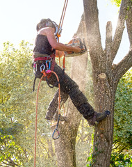 Poster - Tree Surgeon covered with Sawdust