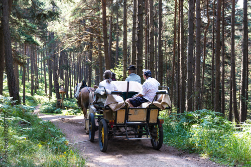 Fotografía Carrozza nel bosco in Trentino Alto Adige