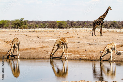 Foto  Erfrischendes Wasser