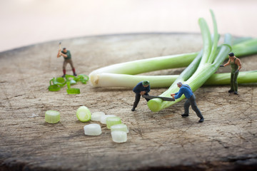 Miniature figure  Workers are chopping spring onion with saw .