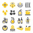 rapeseed,canola oil icon set