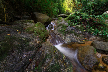 Wall Mural - The water fall in the forest with sunlight