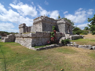 view of ancient ruins of stony mayan temple at tulum city at mexico on archaeological site with gras