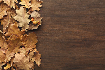 Poster - Fall oak leaves background, top view