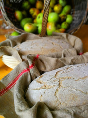 Let the bread dough sit in a baking basket.