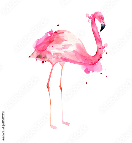 Photo  Watercolor hand drawn illustration pink flamingo