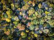 © RLS Photo - Aerial view over forest during vibrant autumn colors vibrant autumn colors