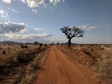 Kenya Tsavo East