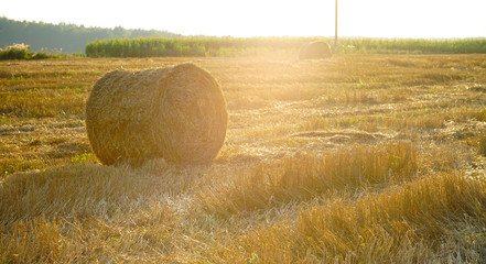 Bale of hay at sunset