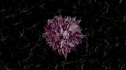 Wall Mural - 3D rendered Animation of a mutating and spreading cancer cell.	
