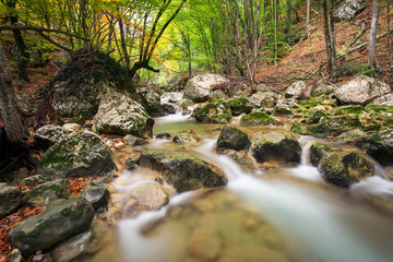 Wall Mural - Autumn creek woods with yellow trees foliage and rocks in forest mountain.