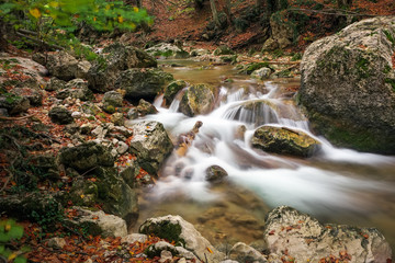 Wall Mural - Autumn creek woods with yellow trees foliage and rocks in forest mountain.