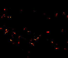 Flame of fire with sparks on a black background