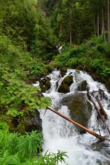 Visnitzbach in Kappl-Paznaun Tirol 