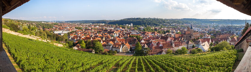 Wall Mural - historic town esslingen germany high definition panorama