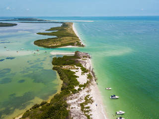 Wall Mural - Shell Key