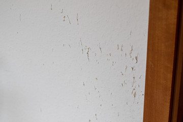 Scratches from a cat inside the white wall in the house