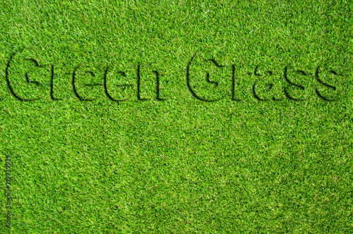 Fotografie, Obraz Text Beautiful Green artificial grass background vignette or the naturally walls texture Ideal for use in the design fairly