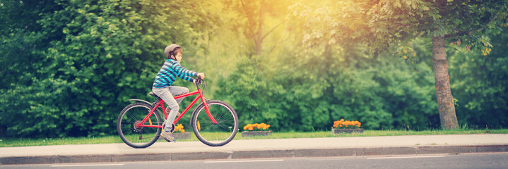 child on a bicycle at asphalt road in summer. Bike in the park. Boy cycling outdoors on beautiful sunny evening