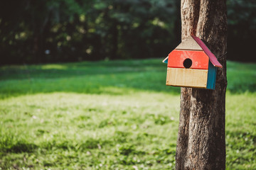 Squirrel's birds house over green park background, landscpae view