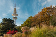 Herbstlicher Park mit Fernsehturm im Hintergrund, Heinrich-Hertz-Turm