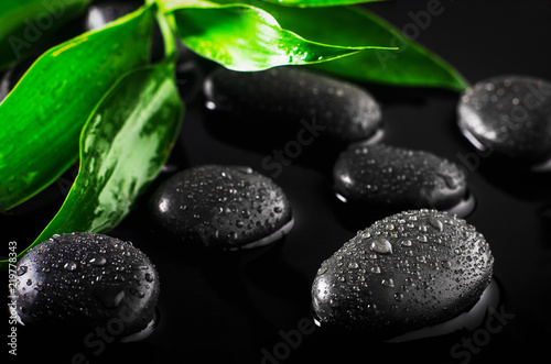 Fototapeta Close up of water drops on black stones with green leaves