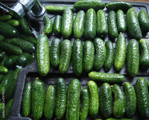 Gurken Einlegen Sorte Allegrow Gurke Essen Gemuse Frisch