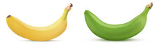 Yellow And Green Bananas