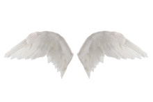 White Wings Isolated