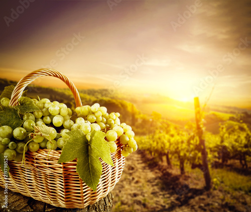 grapes-fruits-and-autumn-time