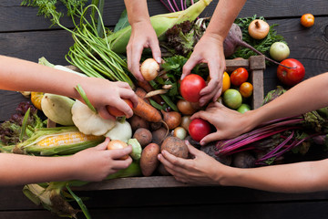 Organic farming harvest, fresh autumn dirt, root food.