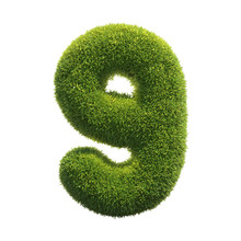 Grass Font 3d Rendering Number 9
