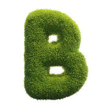 Grass Font 3d Rendering Letter B