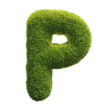 Grass Font 3d Rendering Letter P