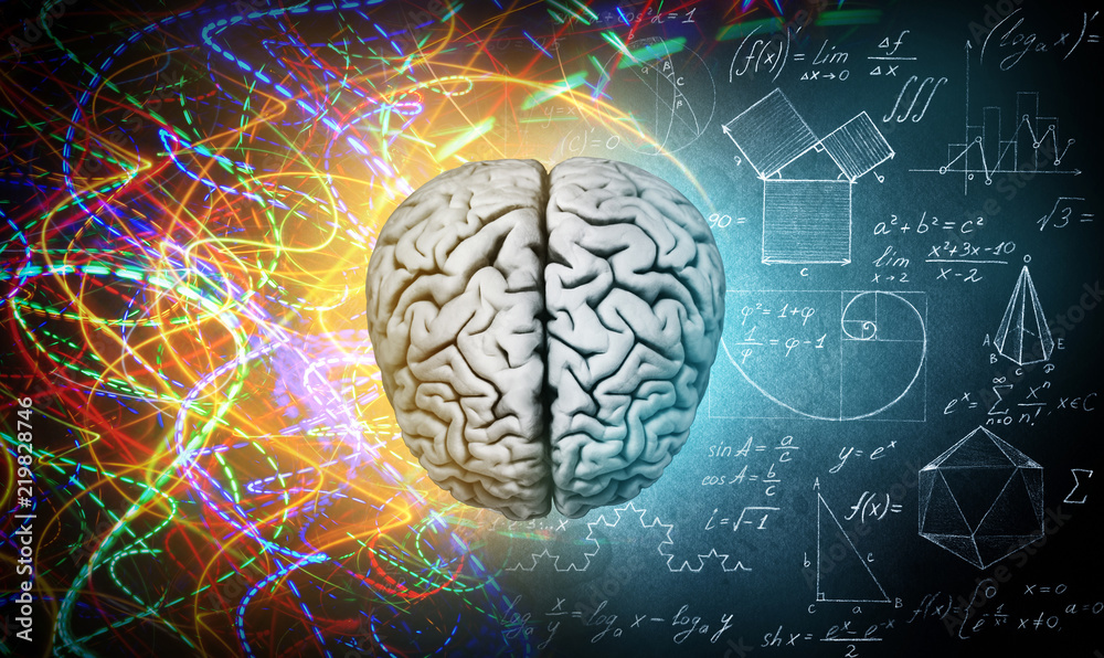 Photographie The concept of the human brain